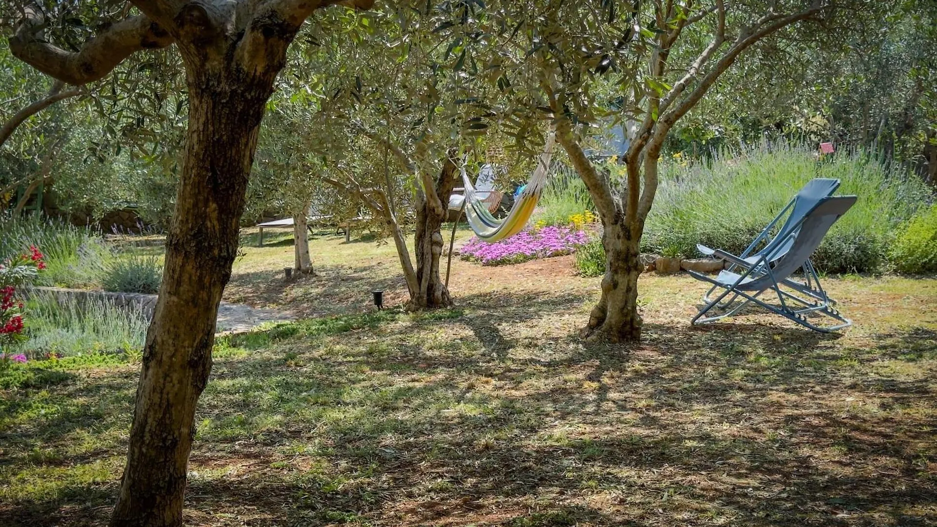 Holiday Home Lavanda Kornić
